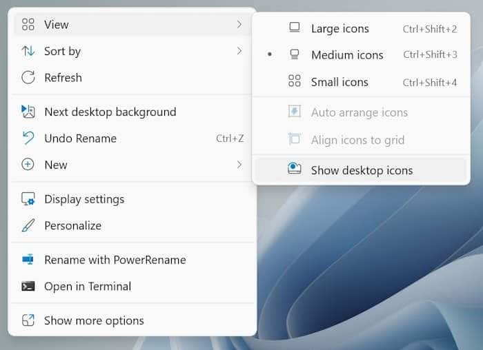 Kuinka piilottaa/näyttää tiedostoja ja kuvakkeita työpöydällä Windows 10/11: ssä