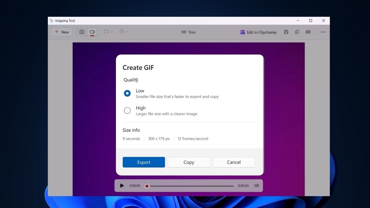 Kuinka tallentaa näyttö GIF