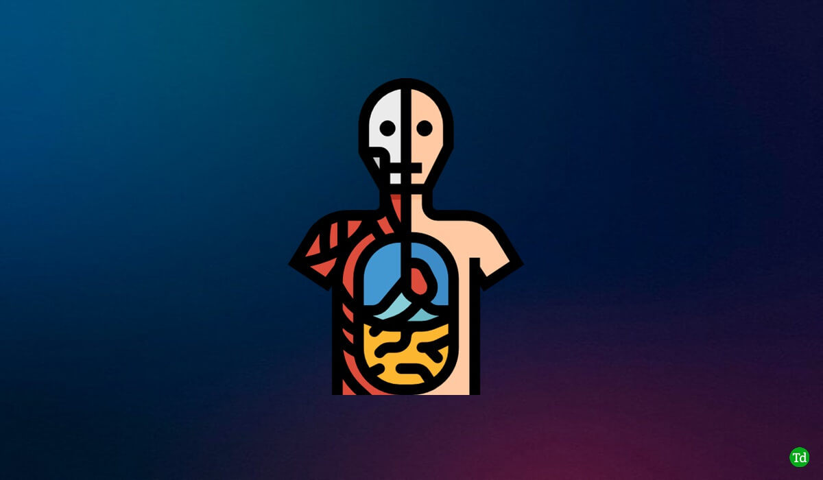 10 parasta anatomian sovellusta lääketieteen opiskelijoille (ilmainen ja maksettu)